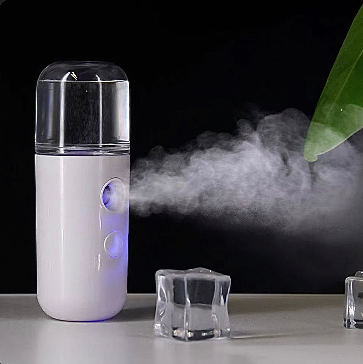 Mini Facial Steamer